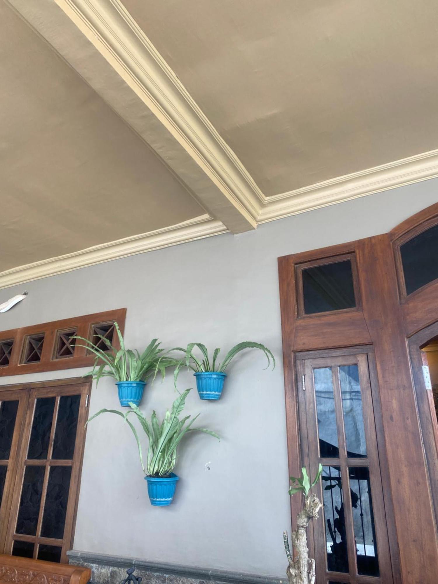 Good Feeling Banyuwangi Hostel Banyuwangi  Εξωτερικό φωτογραφία